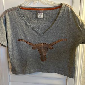 PINK longhorns crop